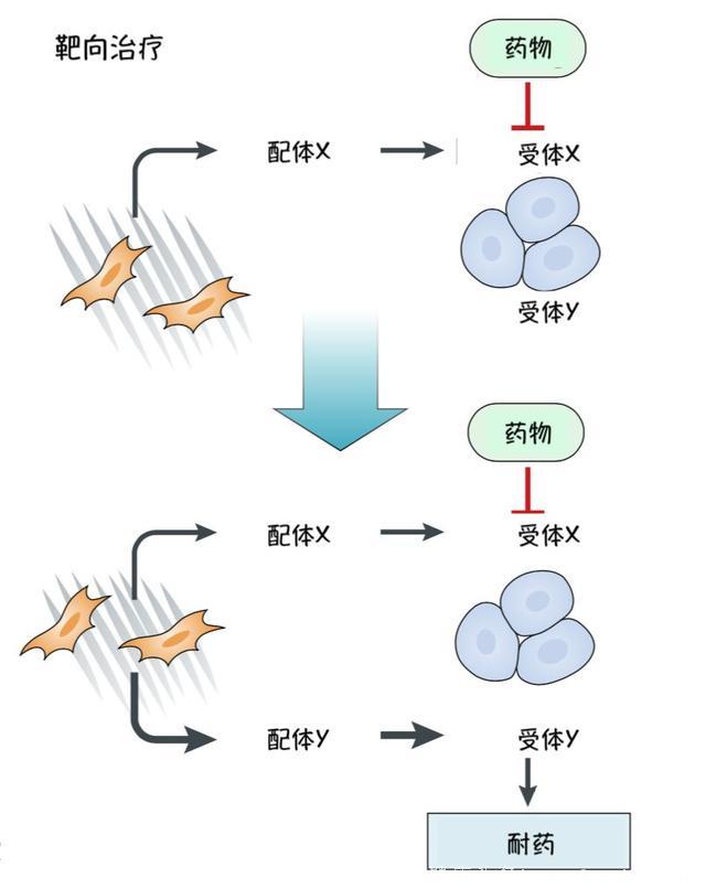 癌症耐药，这是怎么回事？