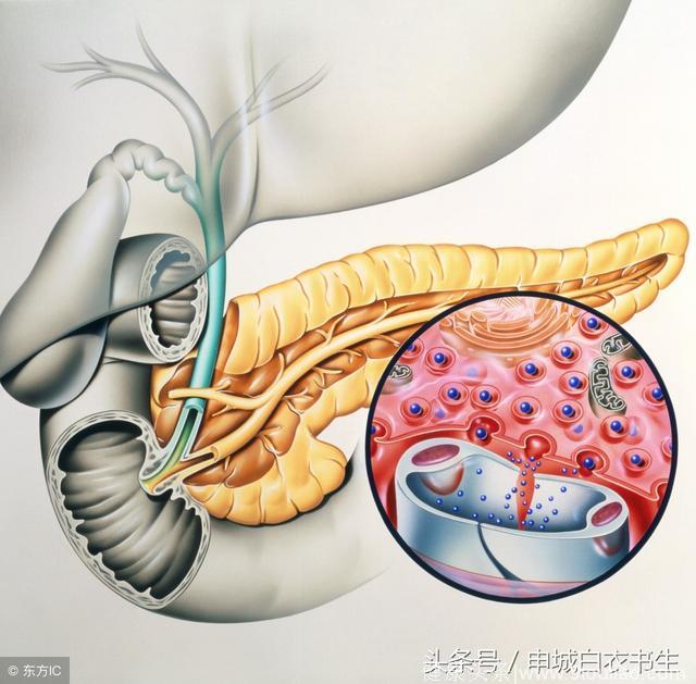 糖尿病人不解的事：夜间没吃东西，早空腹血糖会高于晚餐后血糖？