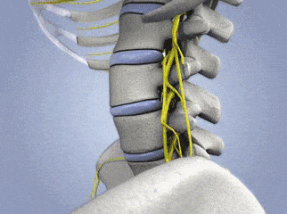 颈椎生理曲度变直的原因和治疗方法