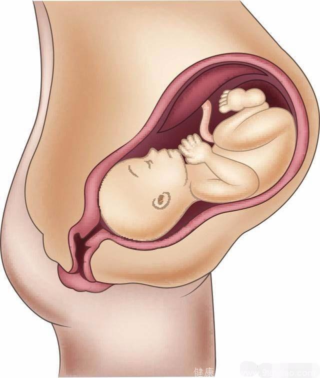 怀胎十月，进入这个月份后孕妈就别任性了，对胎儿来说很重要！