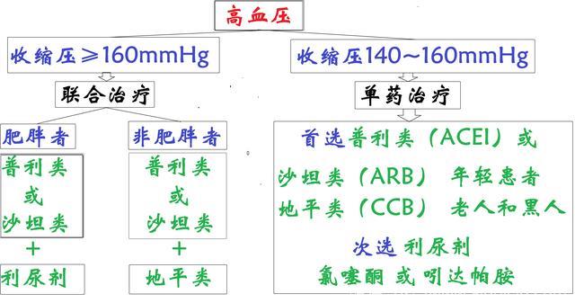 魏社鹏版医学百科 原发性高血压的降压药物选择