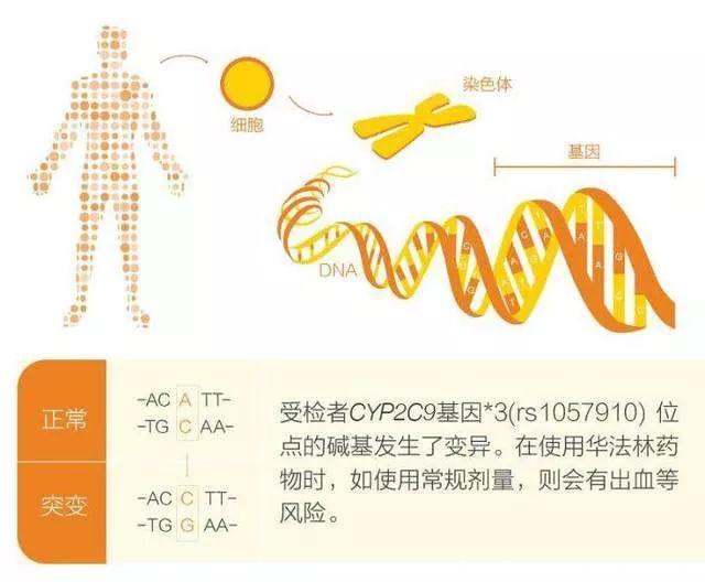 孩子不是你的缩小版，药剂师和你谈小儿用药！