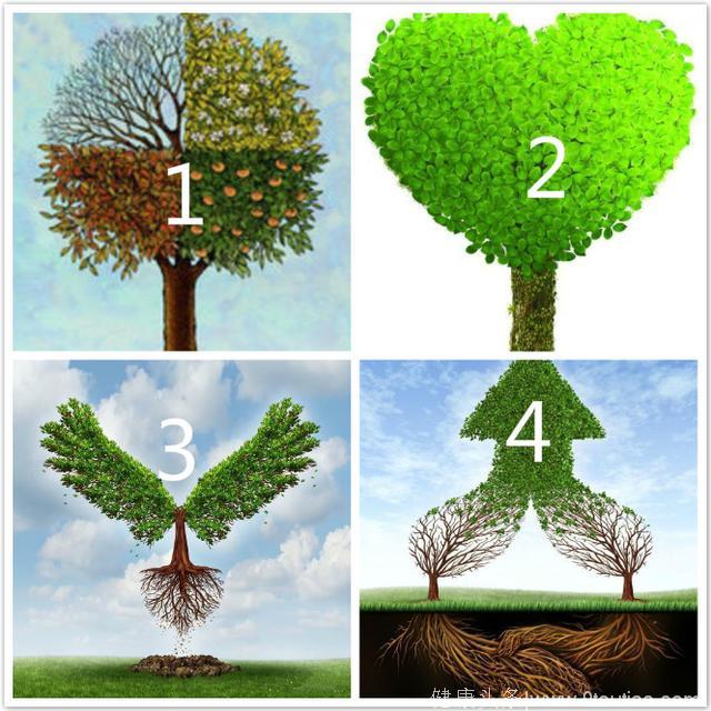 心理测试：4棵树，你最喜欢哪棵？测你6月份好运指数是多少？超准