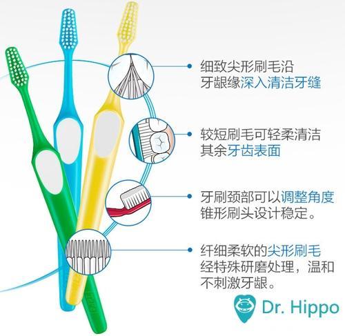 怎样正确刷牙？