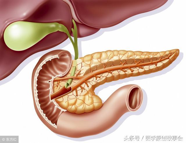 胰腺不好有五种标志，医生建议一定要多吃这三种食物