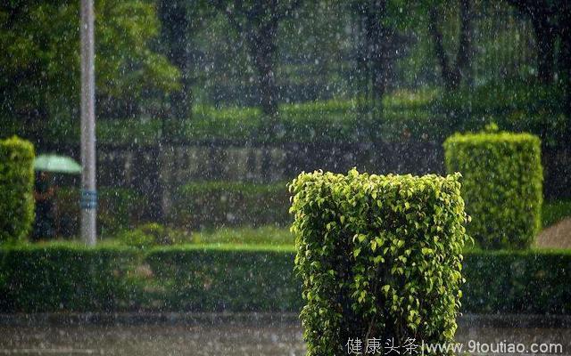 心理测试：哪一场雨下得最长久，测未来30年谁会在身边陪你最久