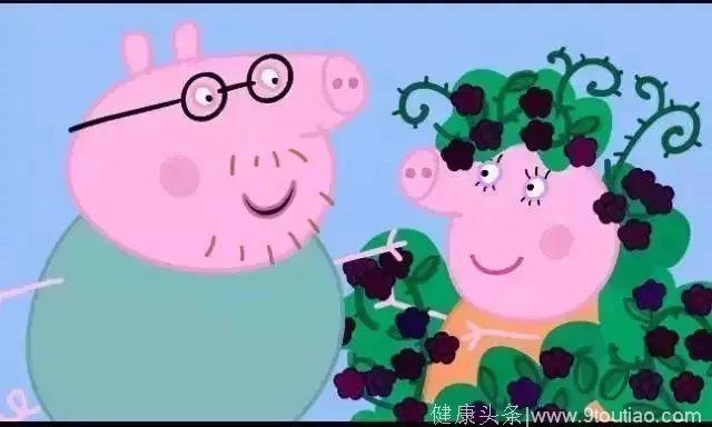 “社会人”小猪佩奇，直戳“中国式家庭教育”的7大痛点！