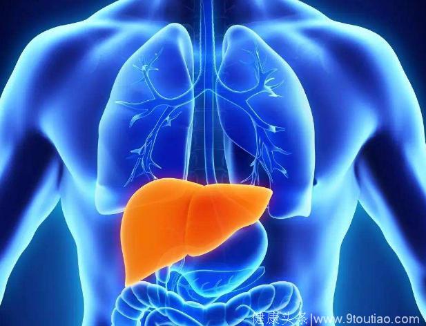 脂肪肝到肝癌只要4步，常喝1种水，肝会慢慢变好