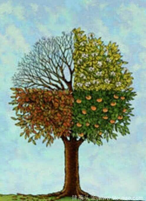 心理测试：4棵树，哪棵最有创意？测你命里的财运有多好！