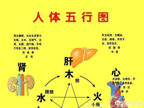 中医药相对于治疗，更注重养生，普及基础知识可能更利于发挥功效