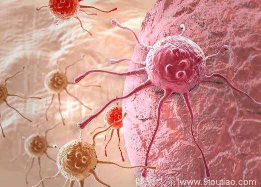 到底是谁把体内的癌细胞越养越肥呢？科学家已经确定目标