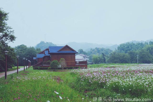 度假、养生、做梦、拍美照，推荐曹山农禅小镇，偷得清欢之地