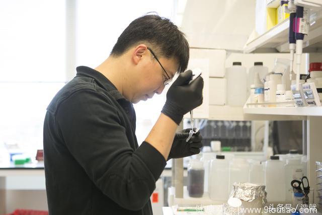 36岁华人科学家做出两项被认定会得诺贝尔奖的发现，可能治愈癌症