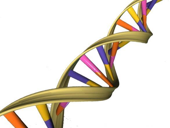 突破！科学家破获DNA修复机制，新方法有望根除癌细胞