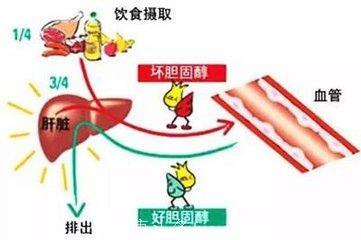 得了 冠心病，这两项治疗就要坚持！