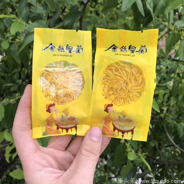 美味养生金丝黄菊茶