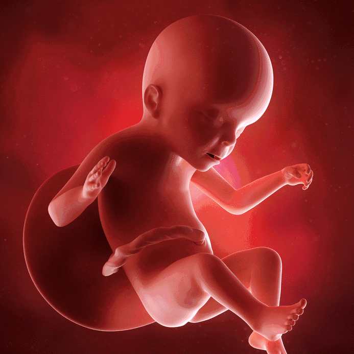 怀孕10月280天，胎宝宝都是怎样打发时间的？他们在子宫里嗨着呢