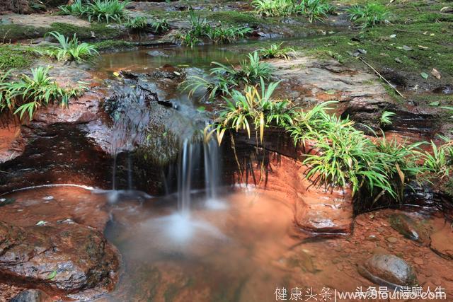 「水调歌头」神鹤养生谷