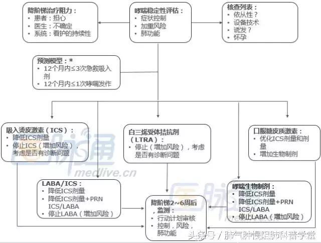 哮喘治疗用药丨哪些哮喘控制用药可以减量？如何减？