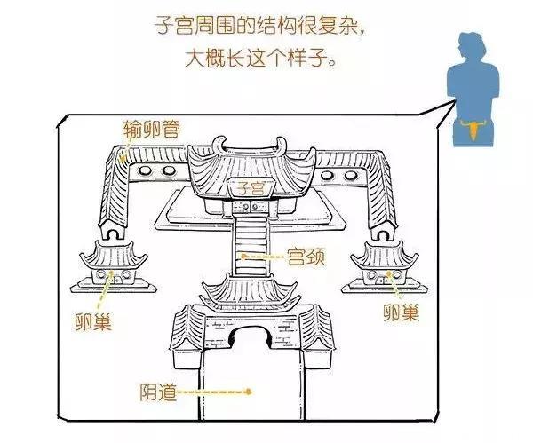 怀孕就是一场宫斗戏