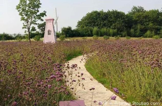 心理学：你最想走以下哪条花间小道？测试最爱你的人是谁！