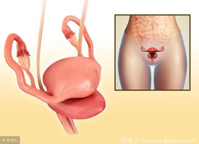 子宫内膜异位症要如何诊断？子宫内膜异位症五大诊断方法