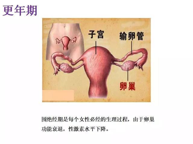 「课件」吉琳琳（北京世纪坛医院）：更年期多学科诊疗之营养指导