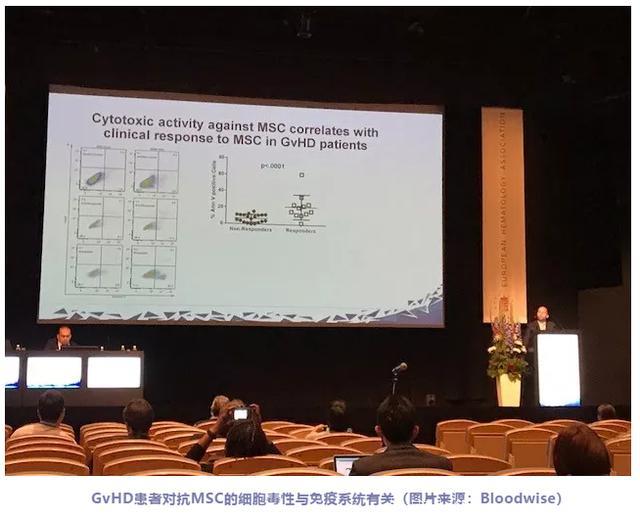 第23届欧洲血液病年会汇总：来自中国的声音受到全球同行的瞩目