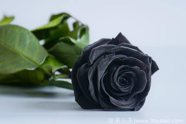 心理测试：选1朵黑玫瑰，测前任离开你的真正原因是什么