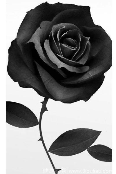 心理测试：选1朵黑玫瑰，测前任离开你的真正原因是什么