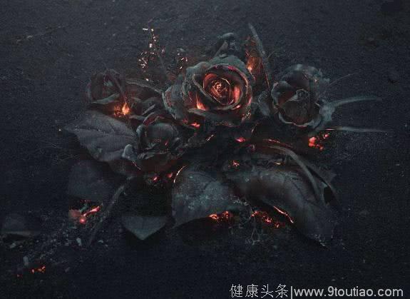 心理测试：4朵黑玫瑰，哪朵最惊艳？测你在异性眼中多有吸引力？