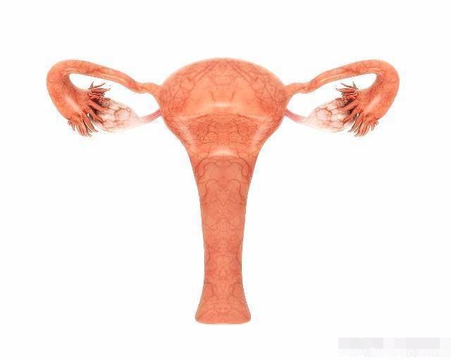 子宫内膜变薄的3大原因，特别是第2个，很多女人不听劝！