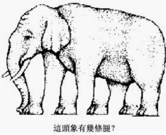 心理学：这头大象到底有几条腿？一眼看出你的洞察力有多强！