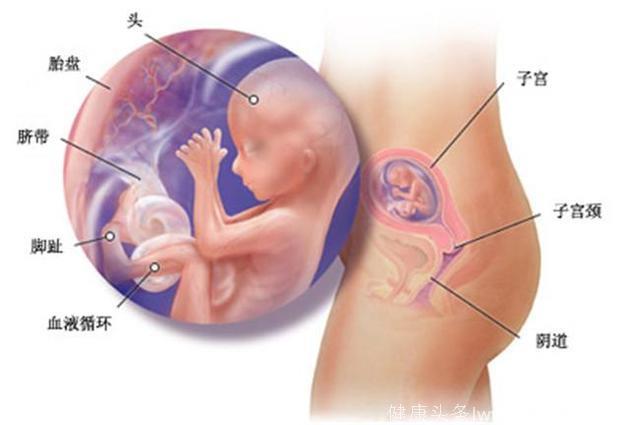怀孕4个月的宝妈躺床上不运动对宝宝有没有影响？