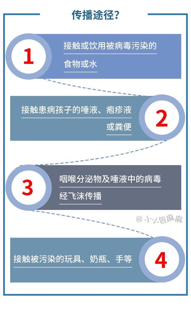 「速看」南阳家长注意！一种病毒“制造”两种病，专门“感染”小娃娃