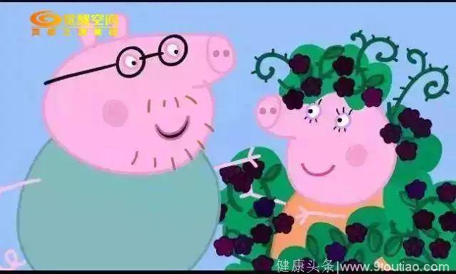 《小猪佩奇》胜过万本教育书戳中“中国式家庭教育”的7大痛点！