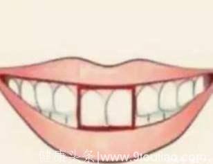 心理测试：4种门牙，你是哪种？测你老了能享多大福