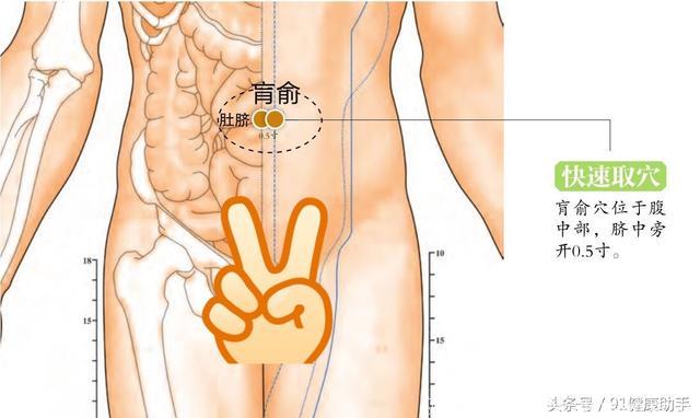 穴位养生｜胃痛便秘、肠炎、腹痛腹胀按肓俞穴，告别便秘的痛苦