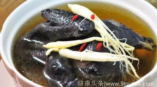 健康｜多吃这8种黑色食物滋补又养生