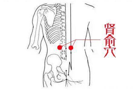 肾不好的男人，这3个穴位轻轻按摩，养肾益精效果一绝！