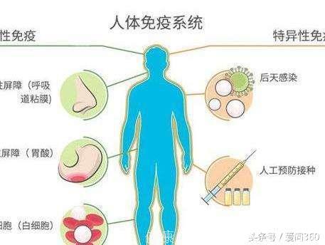 多按这几个穴位能提高身体免疫力，身体就会少生病