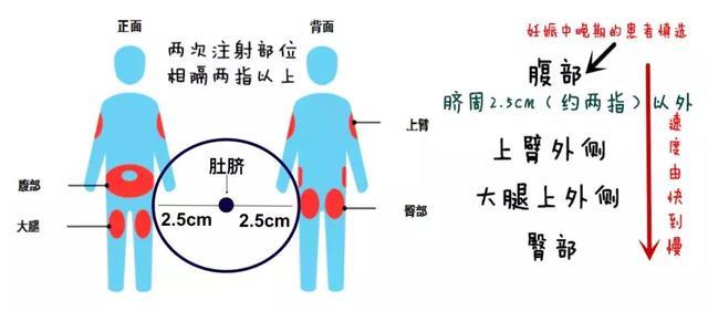 「秘笈」关于糖尿病，你想知道的都在这里