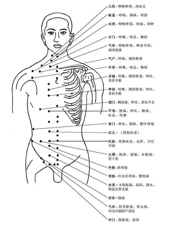 人体主要穴位及其功能