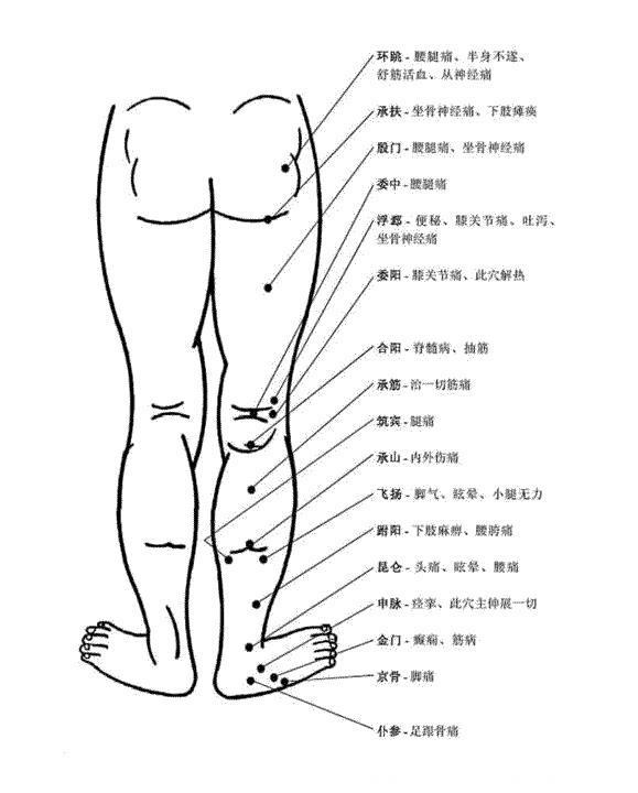 人体主要穴位及其功能