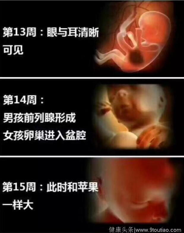 孕妈十月怀胎，详解每周小宝宝在妈妈肚子里发生了哪些变化，实用