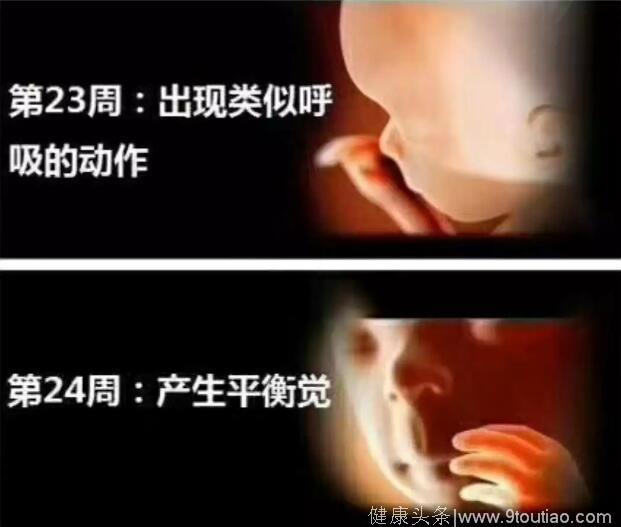 孕妈十月怀胎，详解每周小宝宝在妈妈肚子里发生了哪些变化，实用