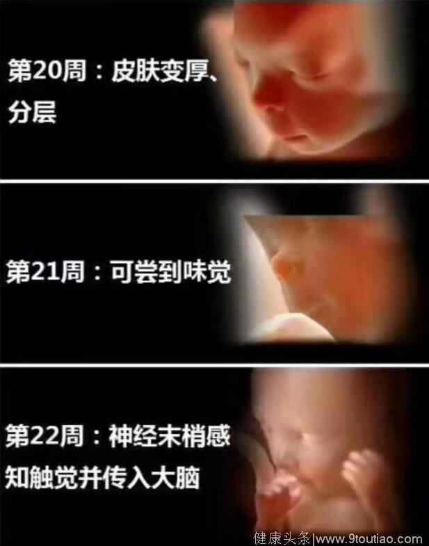 孕妈十月怀胎，详解每周小宝宝在妈妈肚子里发生了哪些变化，实用