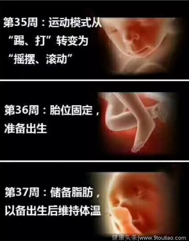 孕妈十月怀胎，详解每周小宝宝在妈妈肚子里发生了哪些变化，实用