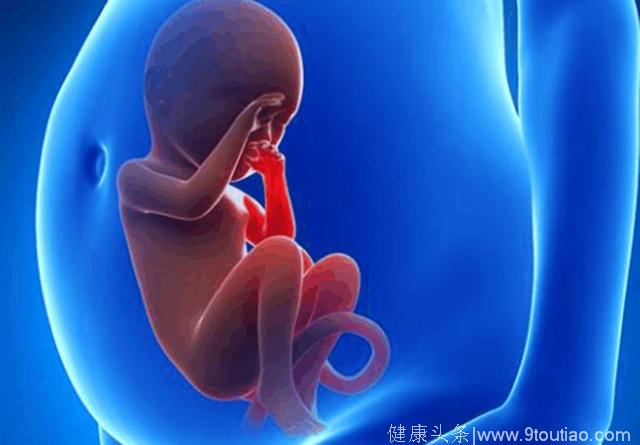 孕妈频繁摸肚子，导致胎儿流产！孕妈摸肚子，还须方法正确！