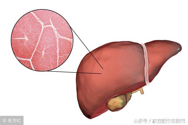 肝脏生病以后，身体会有这5个表现，希望你能细心点